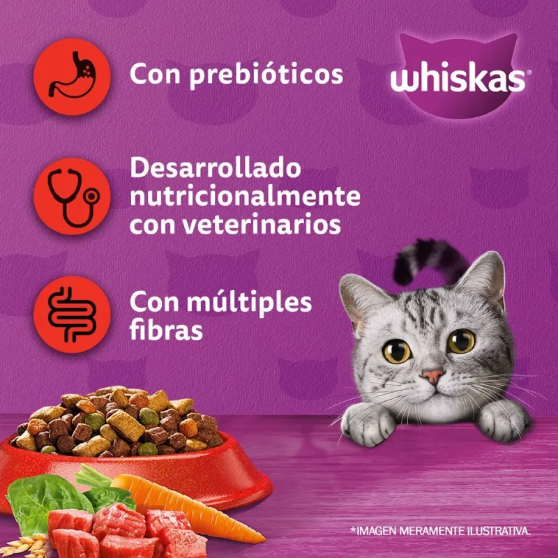 Producto 1