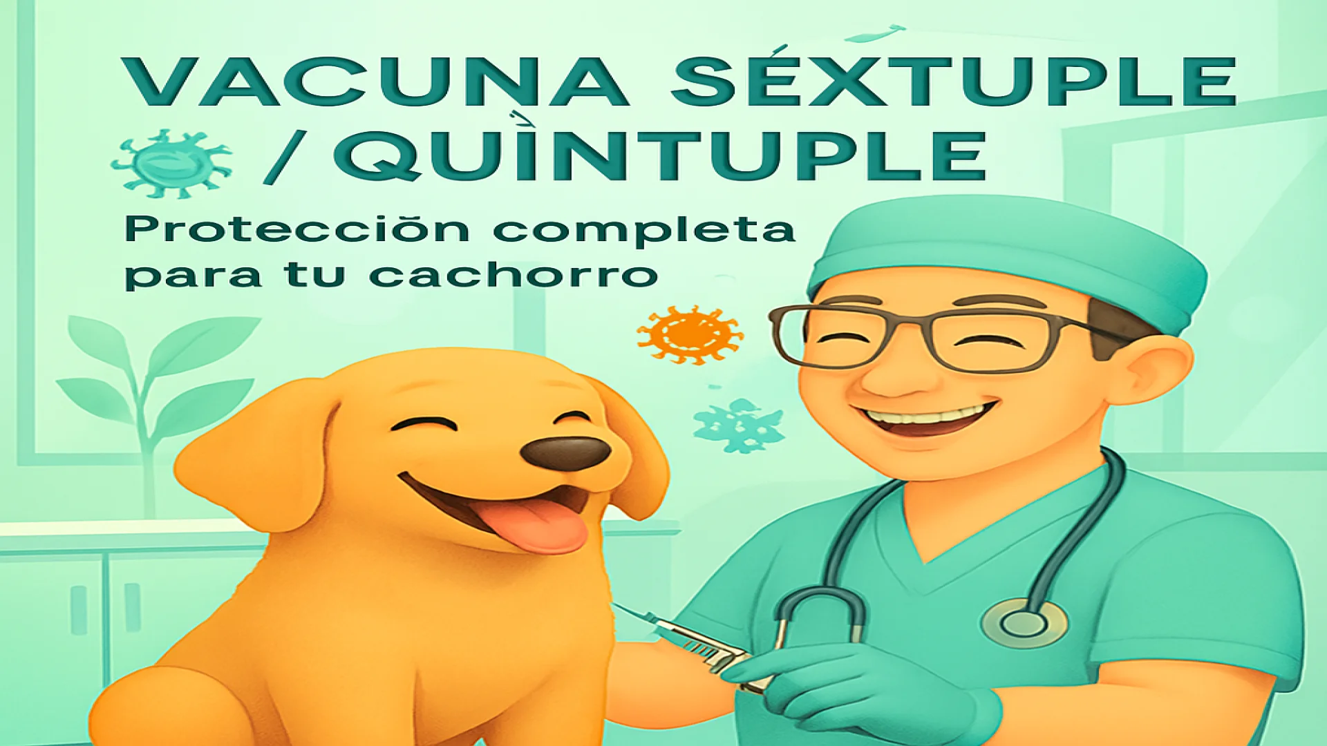 Vacuna Séxtuple / Quíntuple